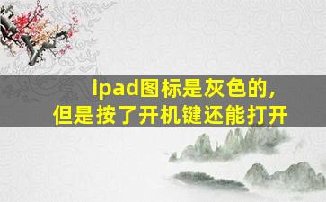 ipad图标是灰色的,但是按了开机键还能打开