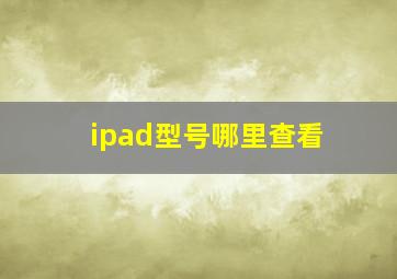 ipad型号哪里查看