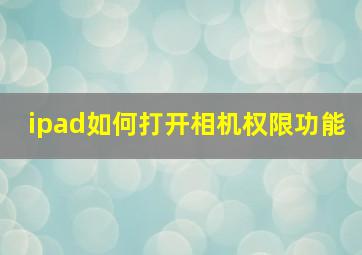 ipad如何打开相机权限功能