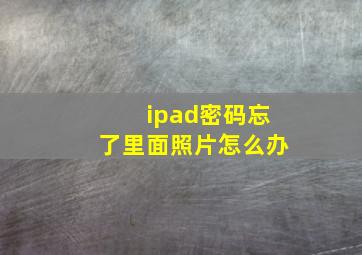 ipad密码忘了里面照片怎么办