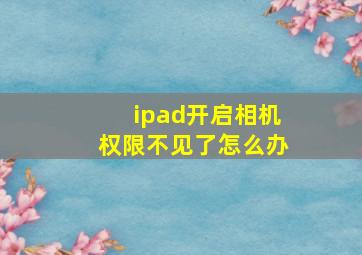 ipad开启相机权限不见了怎么办