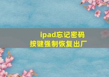 ipad忘记密码按键强制恢复出厂