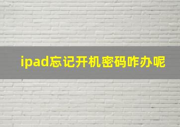 ipad忘记开机密码咋办呢