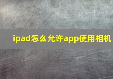 ipad怎么允许app使用相机