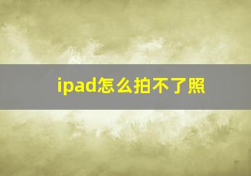 ipad怎么拍不了照