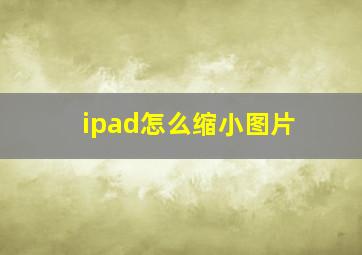 ipad怎么缩小图片