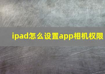 ipad怎么设置app相机权限