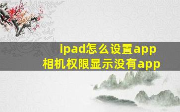 ipad怎么设置app相机权限显示没有app