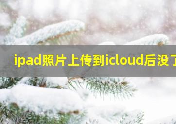 ipad照片上传到icloud后没了