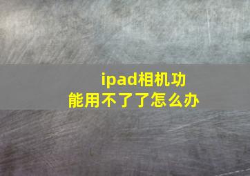 ipad相机功能用不了了怎么办