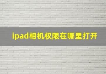 ipad相机权限在哪里打开