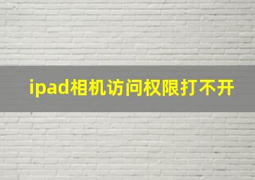 ipad相机访问权限打不开