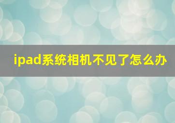 ipad系统相机不见了怎么办