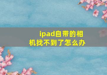 ipad自带的相机找不到了怎么办