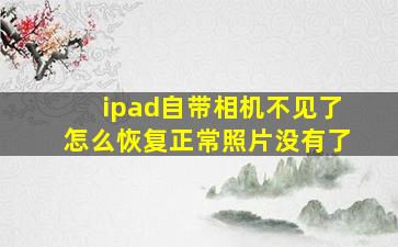 ipad自带相机不见了怎么恢复正常照片没有了