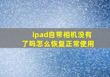 ipad自带相机没有了吗怎么恢复正常使用