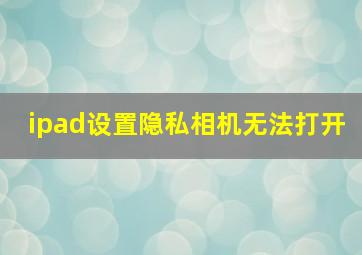 ipad设置隐私相机无法打开