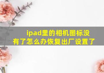 ipad里的相机图标没有了怎么办恢复出厂设置了