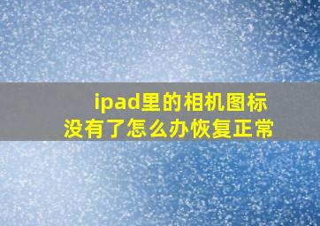 ipad里的相机图标没有了怎么办恢复正常