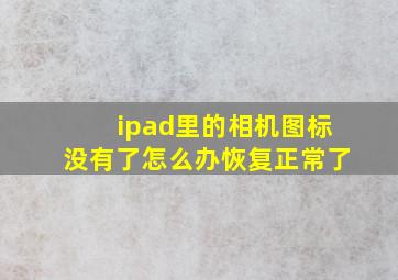 ipad里的相机图标没有了怎么办恢复正常了