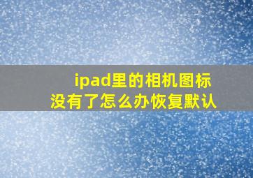 ipad里的相机图标没有了怎么办恢复默认