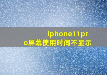 iphone11pro屏幕使用时间不显示