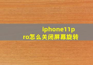 iphone11pro怎么关闭屏幕旋转