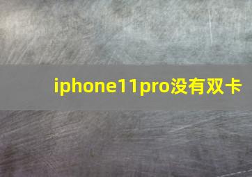 iphone11pro没有双卡