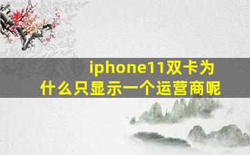 iphone11双卡为什么只显示一个运营商呢