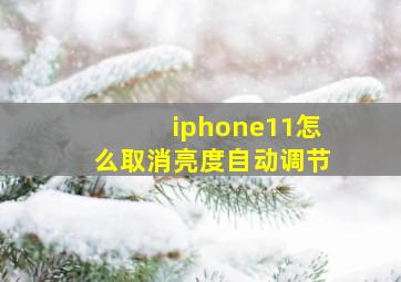 iphone11怎么取消亮度自动调节