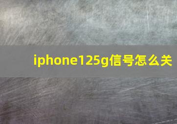 iphone125g信号怎么关