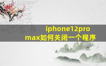 iphone12promax如何关闭一个程序