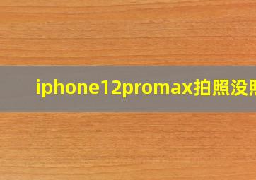 iphone12promax拍照没照片