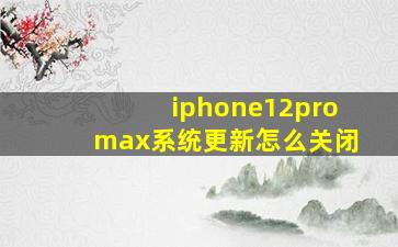 iphone12promax系统更新怎么关闭