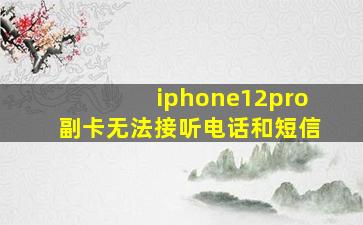 iphone12pro副卡无法接听电话和短信