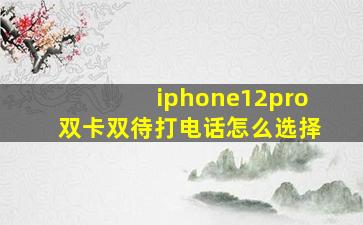 iphone12pro双卡双待打电话怎么选择