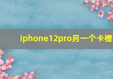 iphone12pro另一个卡槽