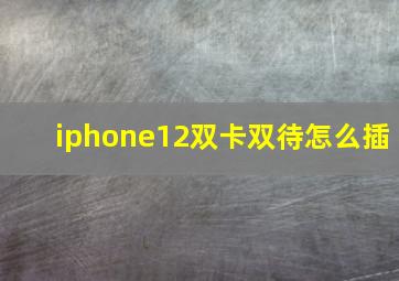 iphone12双卡双待怎么插