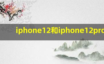 iphone12和iphone12pro差距