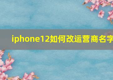 iphone12如何改运营商名字