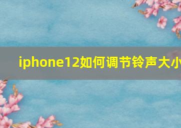 iphone12如何调节铃声大小