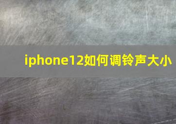 iphone12如何调铃声大小