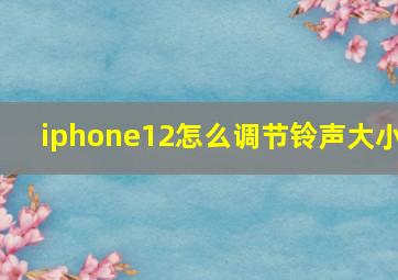 iphone12怎么调节铃声大小