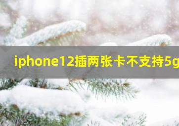 iphone12插两张卡不支持5g吗