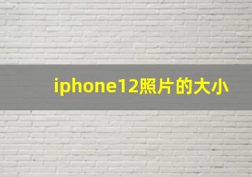 iphone12照片的大小