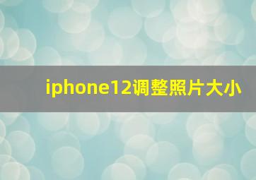 iphone12调整照片大小