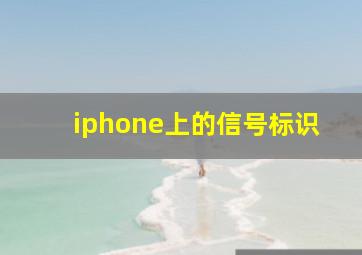 iphone上的信号标识