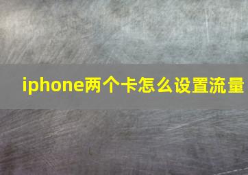 iphone两个卡怎么设置流量