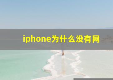 iphone为什么没有网