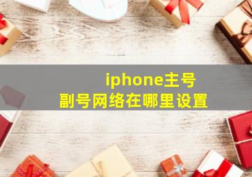 iphone主号副号网络在哪里设置